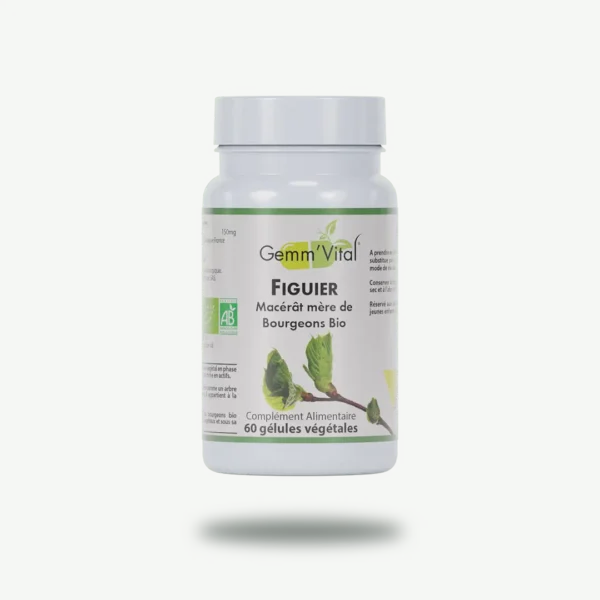 BOURGEON DE FIGUIER BIO* - Gemmothérapie