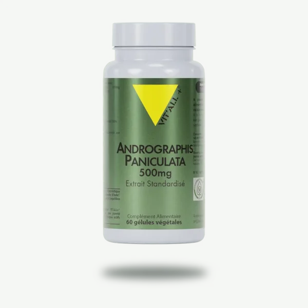 ANDROGRAPHIS 500mg Extrait Standardisé