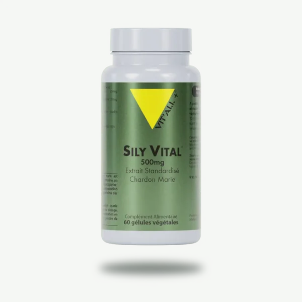 SILY VITAL® (Chardon Marie, Silymarine) Extrait Standardisé
